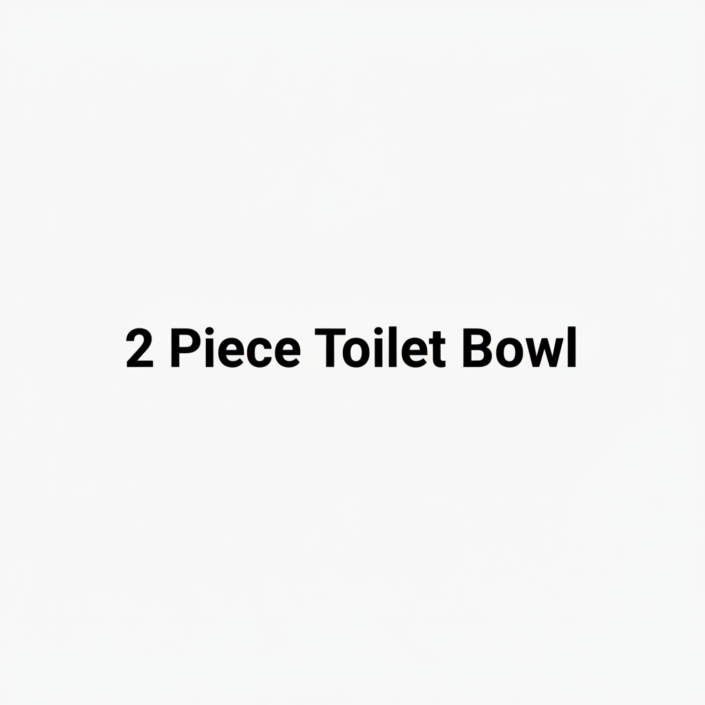 2 Piece Toilet Bowl