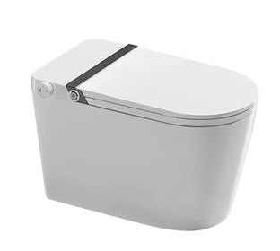 SANIWARE ONE-PIECE S-Trap Tankless Siphonic Flush Toilet Bowl 250mm Full Set Accessories Space Saving Quiet Flush Best For Hotel/Airbnb/Home Use WC1003 S-Trap